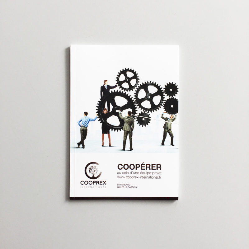 cooperer-au-sein-d-une-equipe-projet